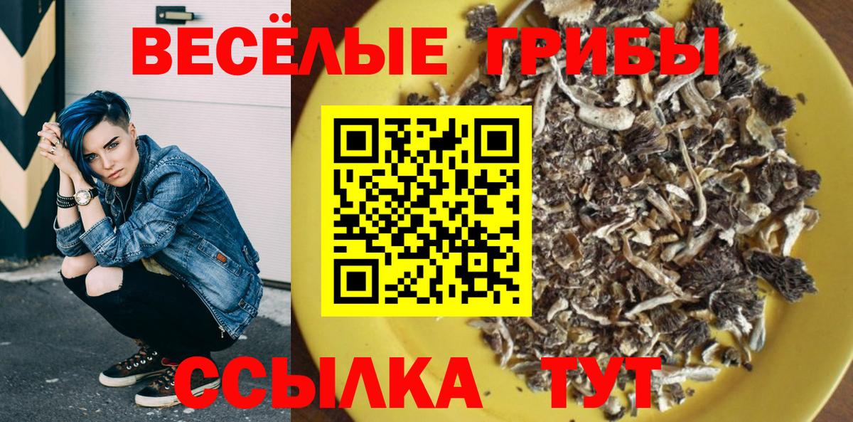 что такое   Псилоцибиновые грибы Psilocybe  Вход с VPN  Минусинск 