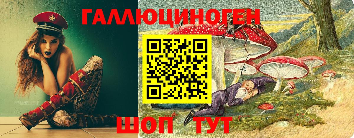 Галлюциногенные грибы Psilocybine cubensis Минусинск